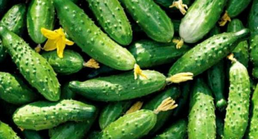 Jednoduchý recept na vaření okurek s mrkví a cibulí na zimu